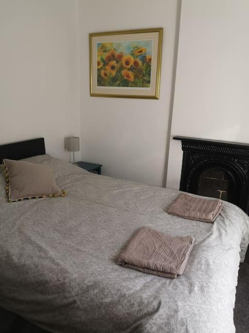 Dol Bach - Your Homely Welsh Cottage In The Heart Of Snowdonia Blaenau Ffestiniog Exterior foto